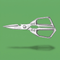 Steami™ Kitchen Scissors